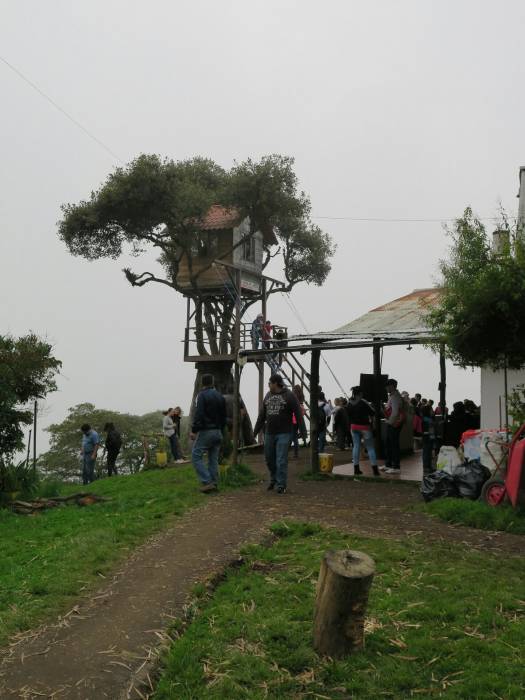 Casa de Arbol.